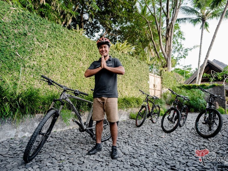 Bicycle Tour in Ubud