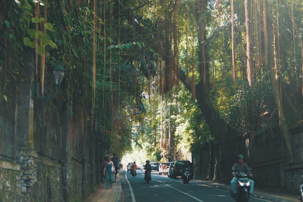 Strolling around Ubud