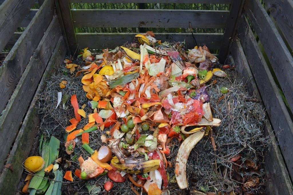 Green wedding ideas: Turn the wedding waste into compost