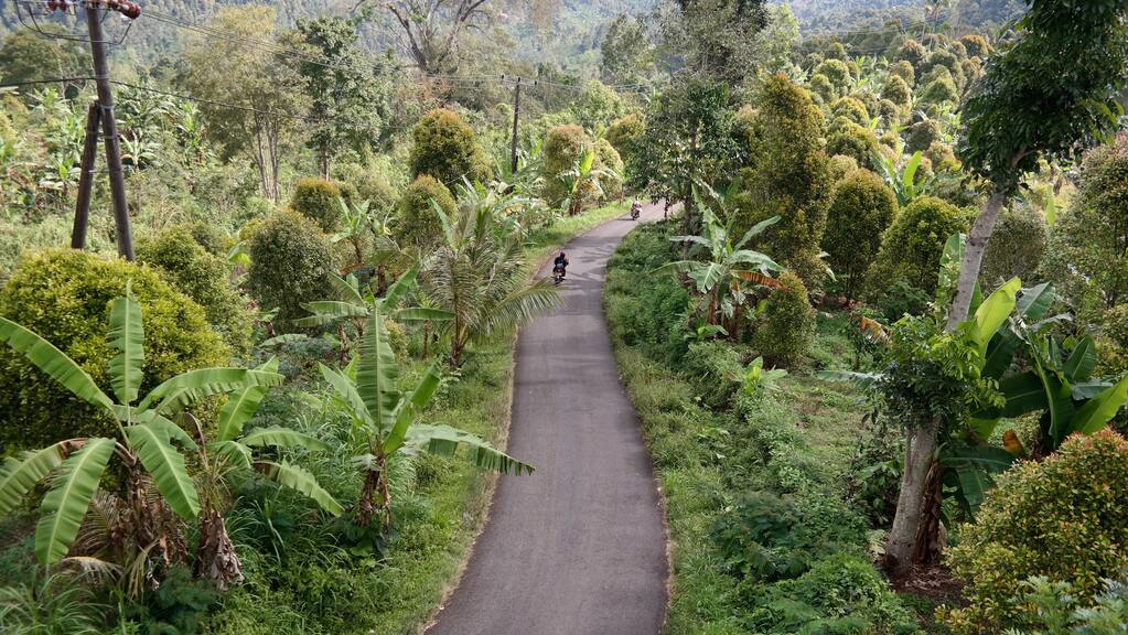 riding motor bike in Bali