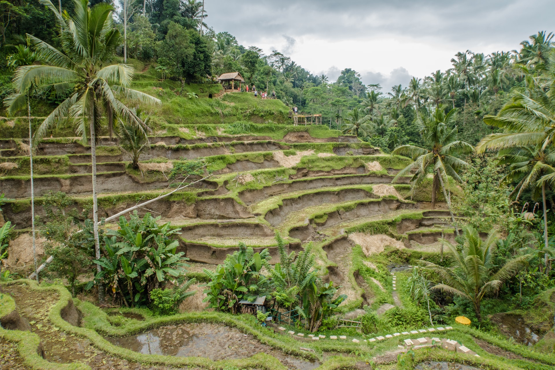 trekking on tegalalang