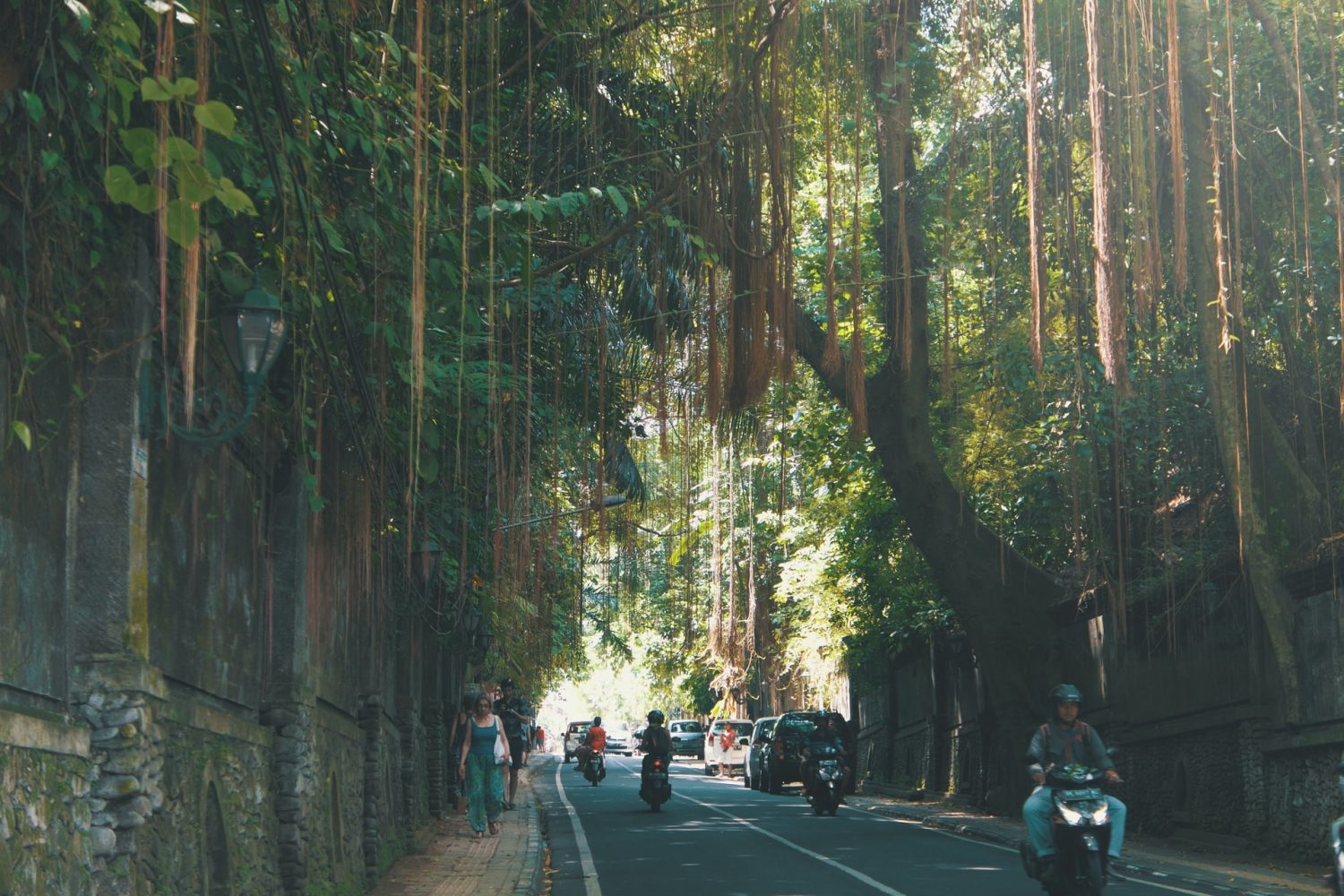 ubud road