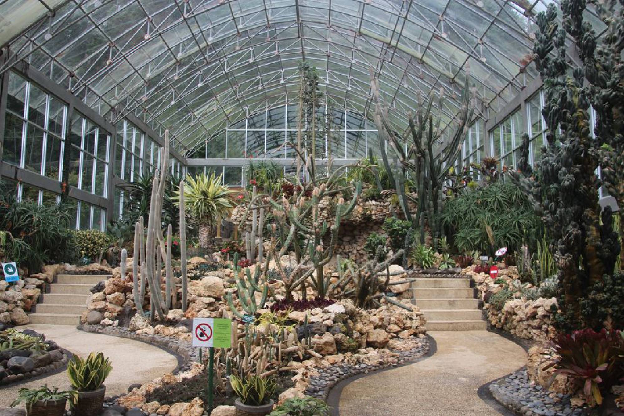 bali botanical garden