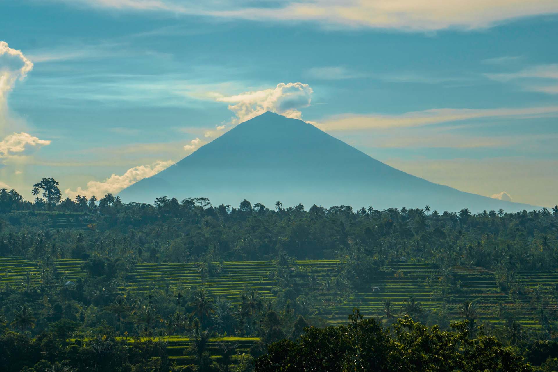 rice terrace with forest and mount agung at the background