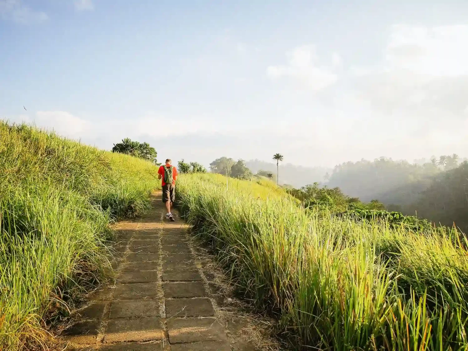 campuhan ridge walk