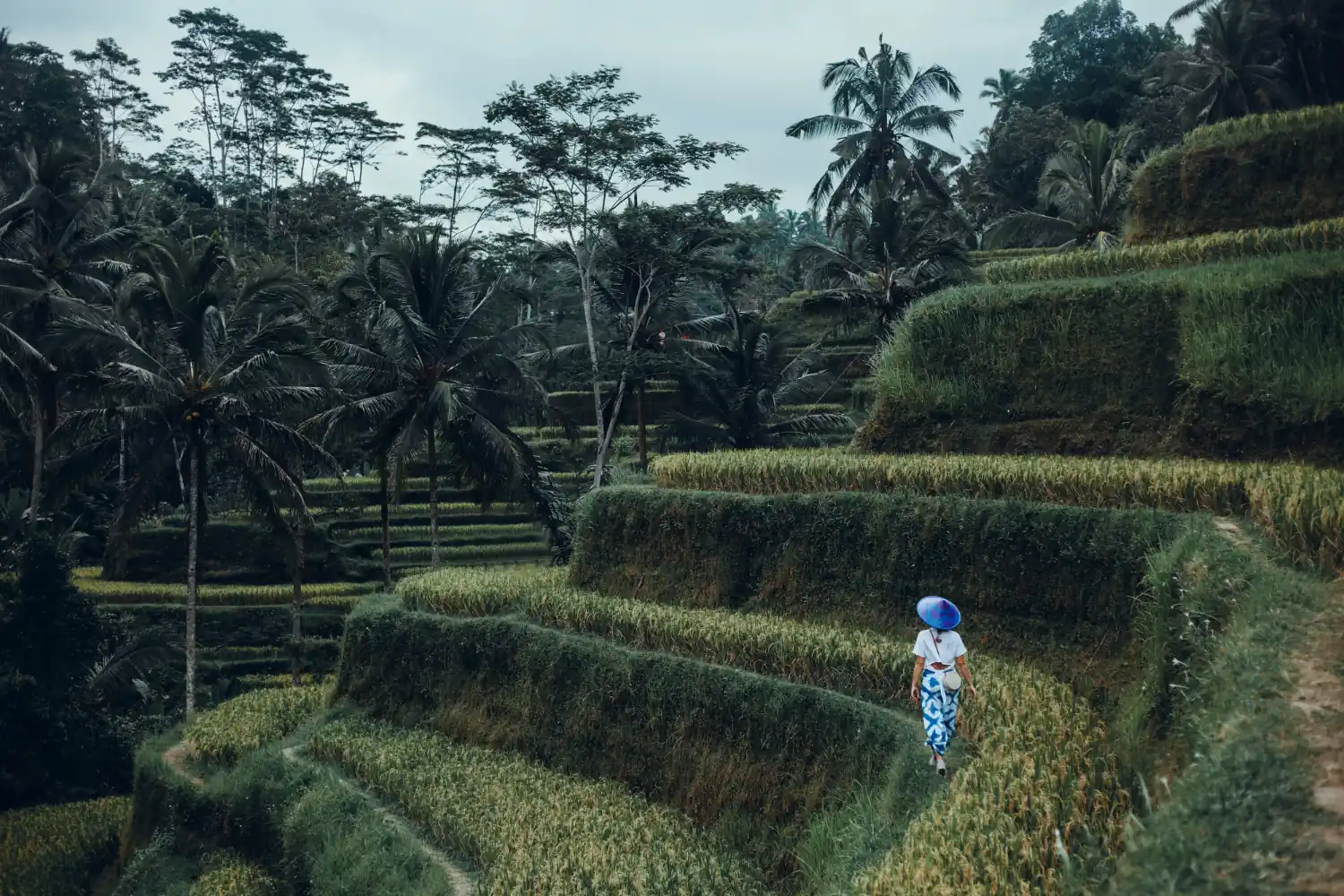 Walking on Terasering Ubud