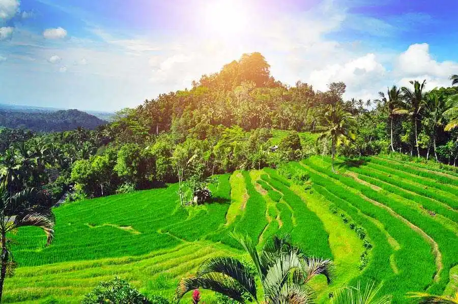 bukit jambut in bali