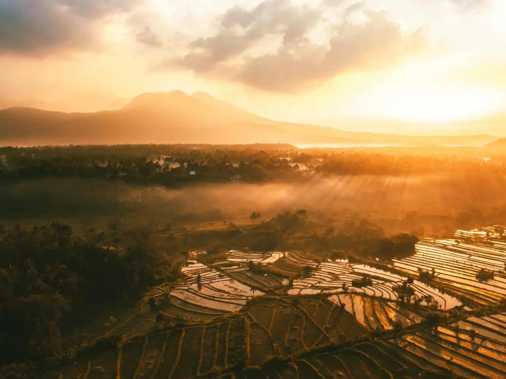 pro and cons retire in bali