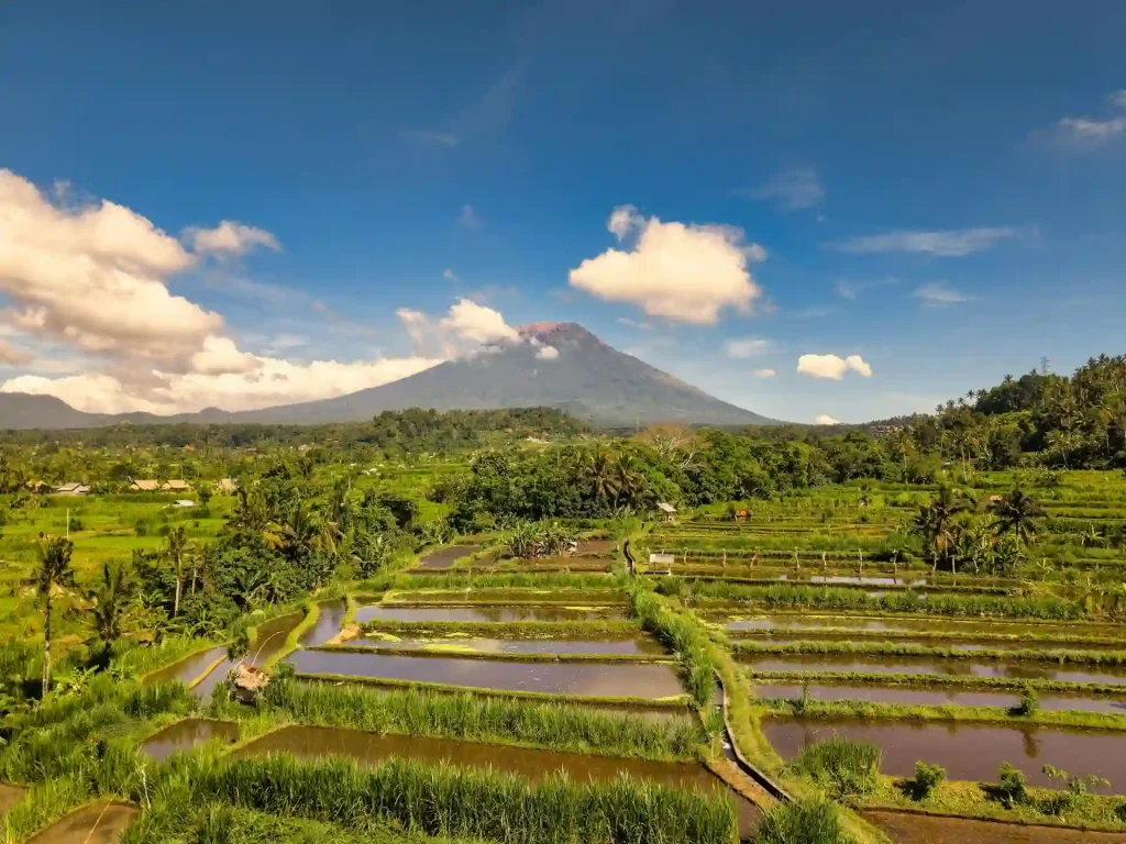 discover visit bali in april
