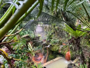 guide to the belulang hot springs bali