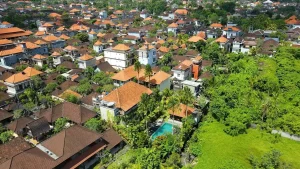 guide solo travel in ubud